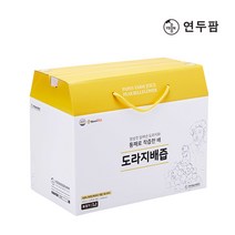 연두팜 아빠의주스 도라지배즙 100ml 40개입 한박스, 돌려따는)도라지배즙 40개입