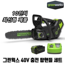 그린웍스 40V 충전 탑핸들 체인톱 전기 충전 10인치 가벼운 톱 가지치기, 탑핸들 본체+5ah배터리1개+급속충전기, 1개