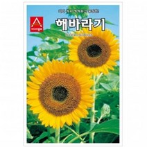 (아시아종묘/꽃씨앗) 해바라기(50립)