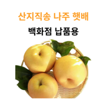 [농부마음] 나주 산지직송 나주 꿀 배 3kg 5kg 7.5kg 15kg 명절 과일 선물용 & 가정용 햇배 신고배 선물 세트, 1box, 01. 7.5kg 나주햇배 (백화점납품용)
