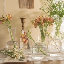 비바리움 키트 만들기 nordic creative hydroponic glass pot, 초록