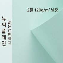 뉴씨플레인 종이문화 얇은 양면색지 120g 2절 낱장 1매 No.18 연옥색, 1장