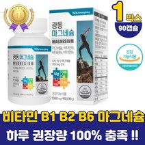수험생 중학생 마그네슘비타민b1 b2 하루권장량 직장인 남성 마그네슘 근육 에너지 무기질 보충제 식약처 인증 비타민b6 마그네슘제 고용량 추천 필수 약국 영양제 20대 50대 60대