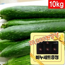 생수세미 10kg - 잘키운 국산 수세미열매, 1개