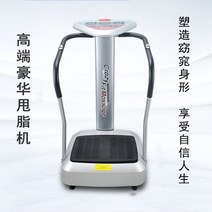 헬스장 덜덜이 쉐이크 보드 홈트레이닝 다이어트 머신, B타입