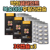 영업직 영업사원 페퍼민트오일 박하유 입속 민트캡슐 해바라기유 출장 어린이 복숭아오일 파슬리오일 소비톨 유산균배양분말 천연향료 고객응대 비서 자동차딜러 선물용 생일선물 상담사