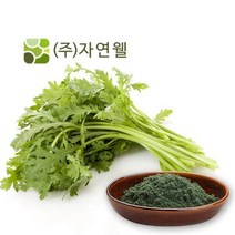 자연웰 국산100 쑥가루 100g 19종류 천연조미료 이유식재료, 국산100% 쑥가루 100g 19종류 천연조미료 이유식, 쑥가루100g