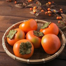 바른식탁 아삭아삭 단감 5kg 대과, 1