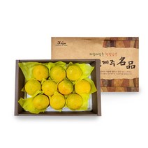 제주농장직송 황금향 추석선물세트 3kg내외 새콤달콤 7-15과, 1개