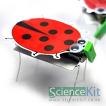 (SC) 진동로봇(4인용)