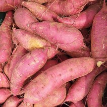 2022 해남 햇고구마 베니하루카 홈쇼핑 베로니카 베니지민 하루까 세척 꿀 고구마 3KG, 세척고구마3kg특상(10013953)