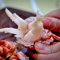 자숙 랍스터 버터구이 자이언트킹 대왕 랍스타 캐나다 크레이피쉬, 냉동 캔랍스타 -1kg-