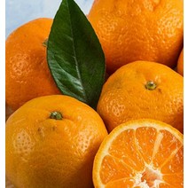 SJ1)영화청과 특급 제주도귤 1kg 청 만들기 하우스 노지, 영화청과 특급 제주도귤 1kg 청 _옵션
