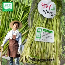 무농약 청도 미나리 한재 미나리 1kg 청도 한재 미나리 돌미나리 밭미나리 국내산미나리 세척미나리, 청도한재미나리1키로