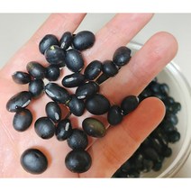 선영이네농장 블랙빈 서리태 콩 1kg 매년11월수확품 산지직송