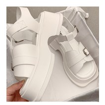 멀티 벨트 플랫 글래디에이터샌들 인박카112