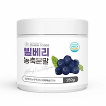 빌베리 분말 야생빌베리 농축분말 가루 식물성루테인 식물성 안토시안 야생 블루베리 안토시안닌 250g 1병