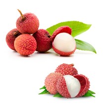 [푸른강산애] 달콤한 리치1kg_1EA, 1kg_1EA, 1개