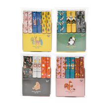 연필보호캡 6개입 연필심보호 필통오염방지, 상세페이지 참조, 상세페이지 참조