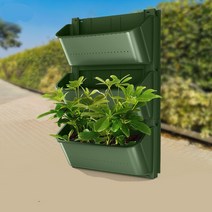 베란다 벽식 화분 수직벽식 재배, 군록
