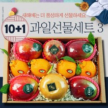 프리미엄 명절 혼합 과일선물세트 3호 설날 명절 추석 이바지 과일 선물 명절 선물 세트 과일 바구니