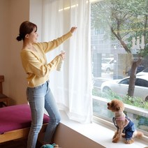 강아지냄새 살균소독 99% 오줌냄새 애견 고양이 소독 탈취제, 11.똥오줌세정미스트