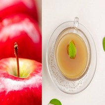 GnJ 사과즙100ml 100포 과일주스 과일즙 사과착즙/마늘즙/제철야채즙/양파즙/배즙/당근즙/수세미배즙/호박즙/아로니아즙/사과착즙/건강즙/생사과즙/, 100ml 100포