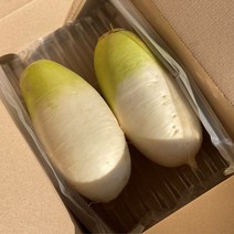 [작은크기]제주도 세척 무우 2개 2kg 내외, 제주무 2kg내외
