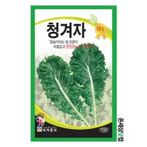 청겨자 2000립 / 상추씨앗 쌈채소씨앗 겨자씨앗 겨자씨
