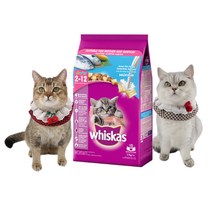 위스카스 캣 포켓 주니어 오션피쉬 2.7kg