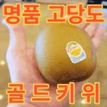 [추석선물세트] 제이블릭 고당도 당도보장 제스프리 골드키위 특대 왕대 점보 왕점보 특점보 특대과 선물세트 골드키위선물세트 참다래 백화점골드키위선물세트 현대백화점골드키위선물세트, 제스프리 골드키위 점보 2.4kg(18과)