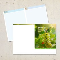 계절 디자인 주보용지 교회 순서지 예배 주보지 안내지 청년부 주일학교 교회행사 성경학교 맥추 추수감사 성탄절 사순절, EA-51
