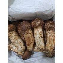 백두산 자연산 2등급 송이버섯 1kg 냉동, 백두산 자연산 송이버섯 1박스 1kg 냉동