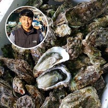 하고잽이수산 브러시세척 깔끔한 통영 석화 굴 (조개칼+회초장증정), 5kg