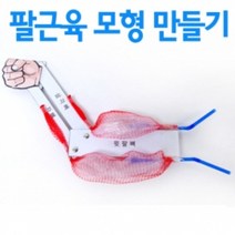 간이팔근육모형만들기(10인용)