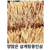 인삼 삼계탕인삼 삼계탕수삼 수삼 삼계탕 수삼파삼 삼계수삼750 금산인삼 삼계탕용수삼 삼계인삼, 세척해주세요(0), 300g 30-40뿌리