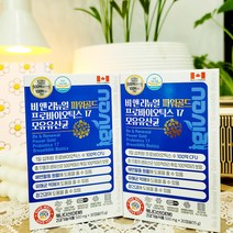Bnr17 유산균 / 모유 500억 덴마크 유산균 이야기 LGG 락토바실러스가세리[비에날씬 택1], 30g, 모유 덴마크 유산균 2박스