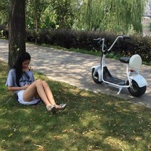 전기바이크 자전거 오토바이 전동스쿠터 할리 배터리, 60V, O