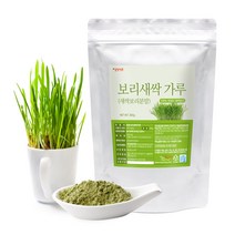 갑당약초 국내산 새싹보리 분말 가루 300g 보리새싹 보리어린잎, 1봉