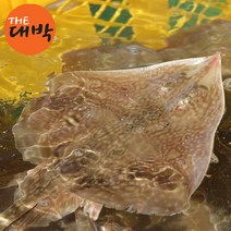 자연산 간재미 횟감용 1kg 손질 국내산 가오리, 간재미(급냉/횟감용) 1kg, 1개