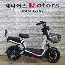 아이마 대용량 전기자전거 D9 하이브리드 자전거, 아이마 D9 화이트 (2열등받이&도난방지 리모컨 포함)