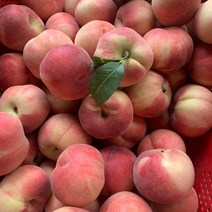 백도 황도 말랑이 딱딱이 털복숭아 대극천 납작 복숭아, 코마치백도복숭아4kg (12~16과), 4kg, 1개