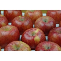 주왕산털보네 특고당흠과 9kg내외, 주왕산털보네 특당도흠과 9kg 내외