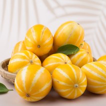 성주 산지 직송 꿀 참외 3kg 5kg 10kg 가정용 정품 직거래 박스 못난이 소과 로얄과 중과 박스포장, 1_2. 가정용 참외 3kg(8-15과)