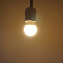 호강조명 LED 인치구 미니전구 5W E26 5개입, 1개, 전구색