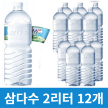 제주 안전한 삼다수 2L 또는 500ml 물배달 생수 광동제약 물 무라벨 심다수, 그린 2리터 12병