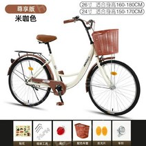 2인용자전거 커플 2인승 야외나들이, 24인치, 프리미엄 에디션 - 라이스 커피