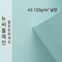 뉴씨플레인 종이문화 얇은 양면색지 120g A3 낱장 1매 No.05 연하늘색, 1장