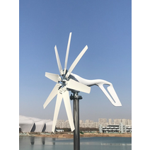 자가발전 캠핑 야외 발전기 1000w 수평 풍력 터빈 12v 24v 48v 대체 무료, mppt 컨트롤러로, 1000w 8 블레이드