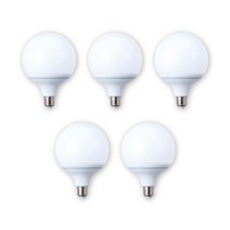 삼영전기 LED 전구 E26, [1등급] 15W주광색(흰빛), 5개
